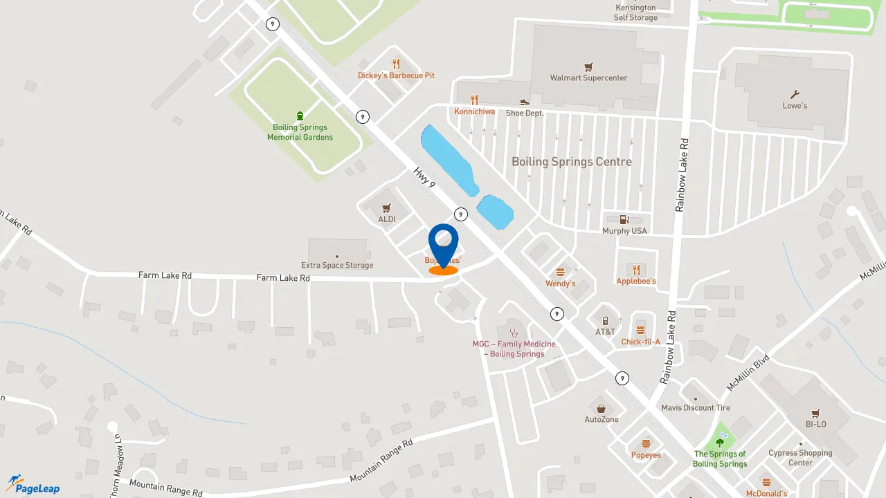https://pageleap.com map showing location of Bojangles in Boiling Springs.
