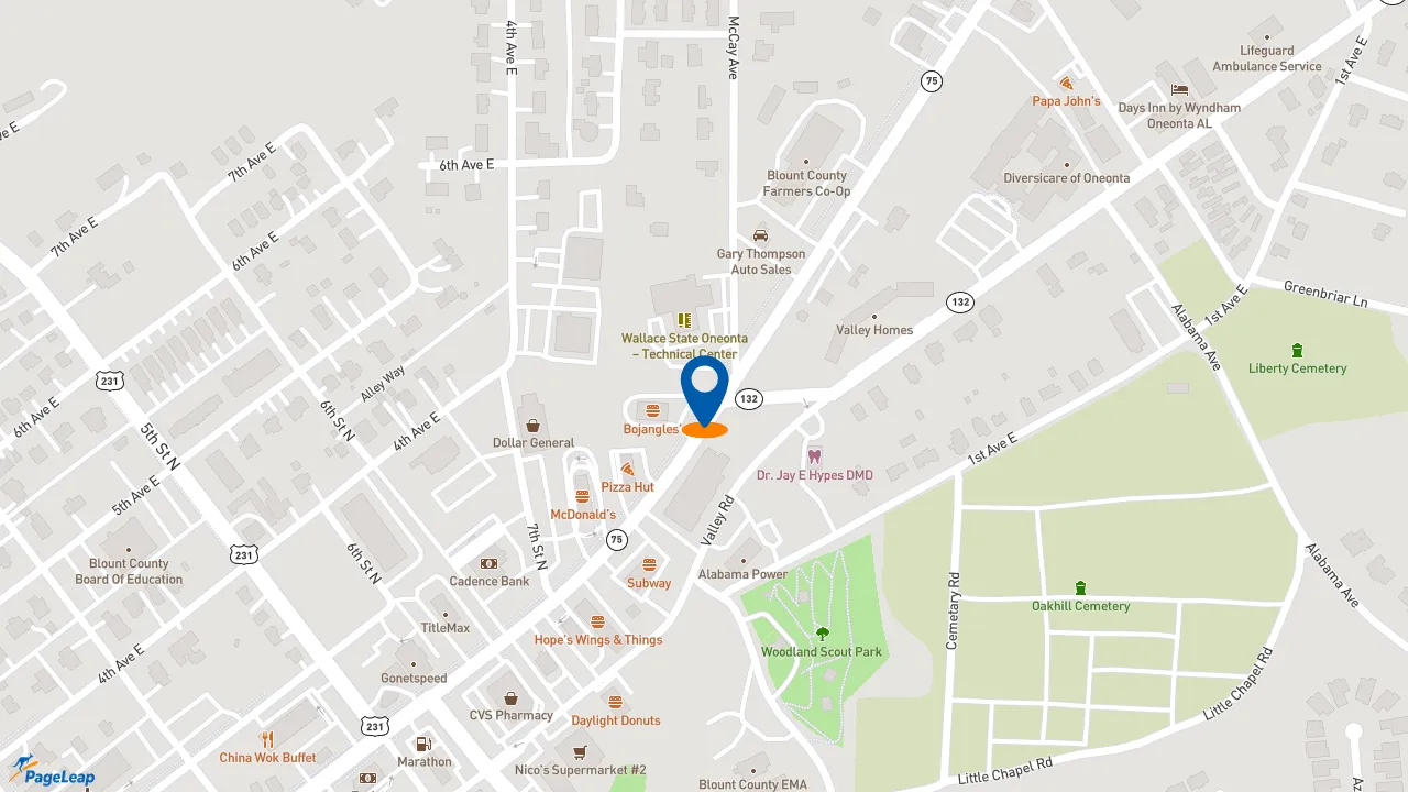 https://pageleap.com map showing location of Bojangles in Oneonta.