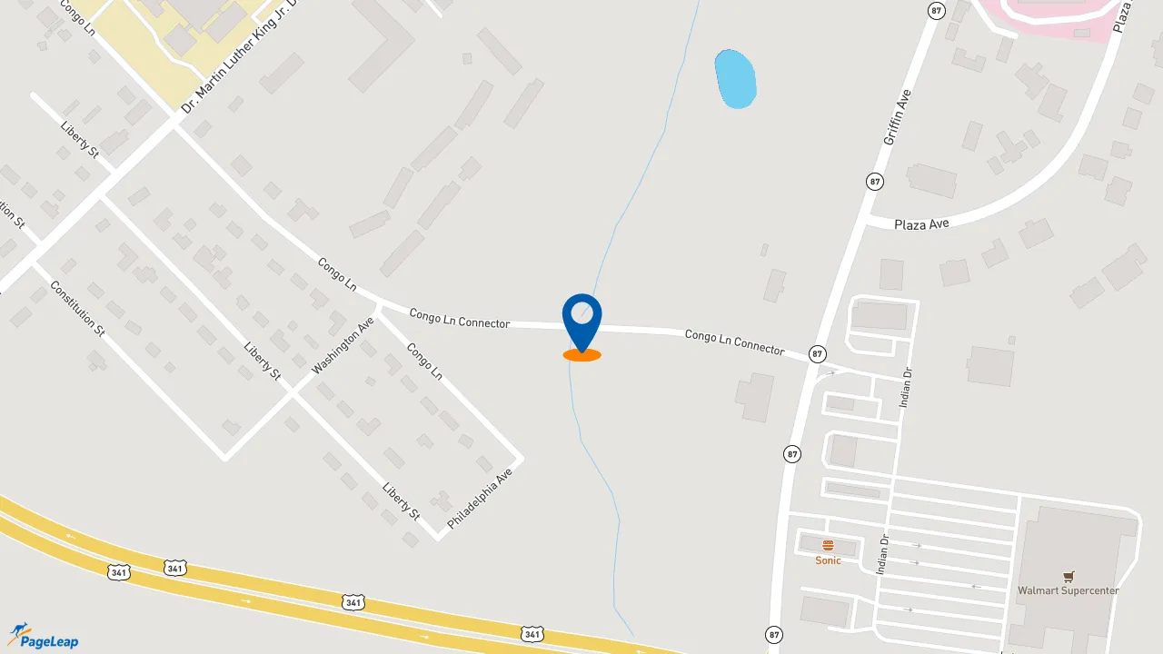 https://pageleap.com map showing location of Burger King in Eastman.