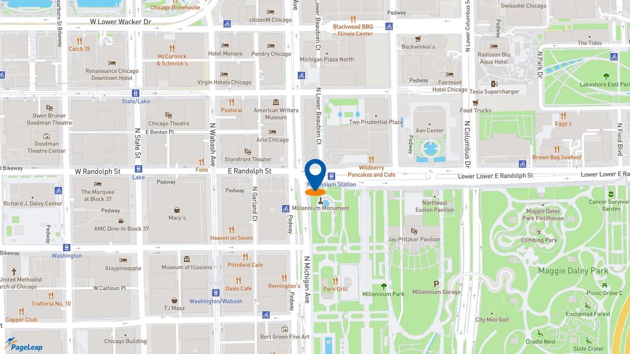 https://pageleap.com map showing location of Burger King in Chicago.