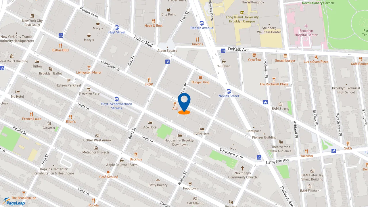 https://pageleap.com map showing location of Burger Village in Brooklyn.