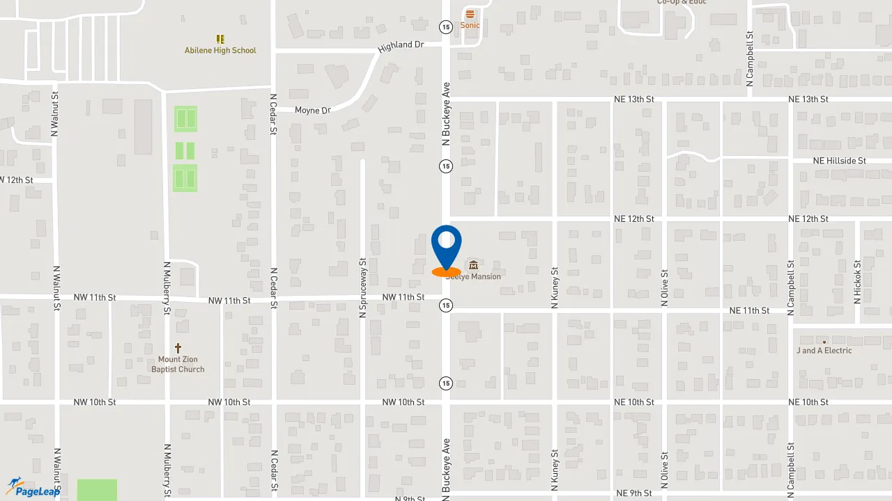https://pageleap.com map showing location of Champs Chicken in Abilene.