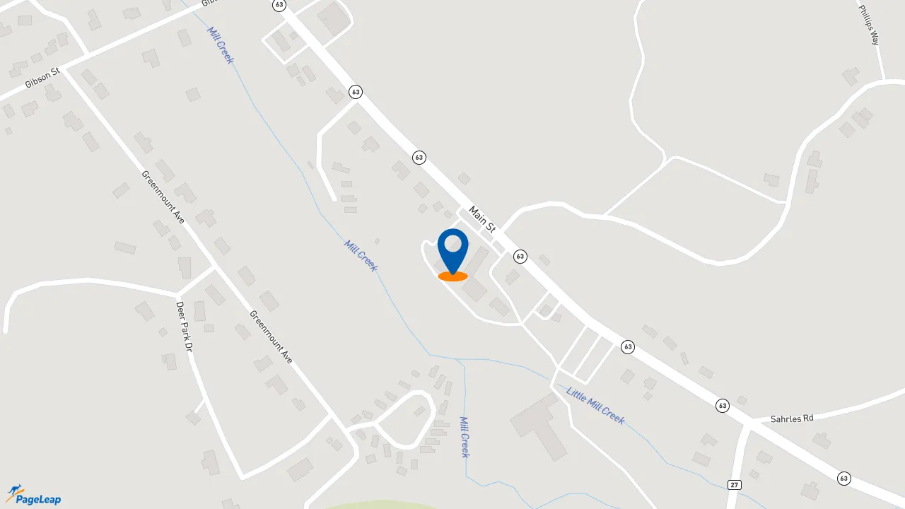 https://pageleap.com map showing location of Dansville Auto Mart Inc. in Dansville.