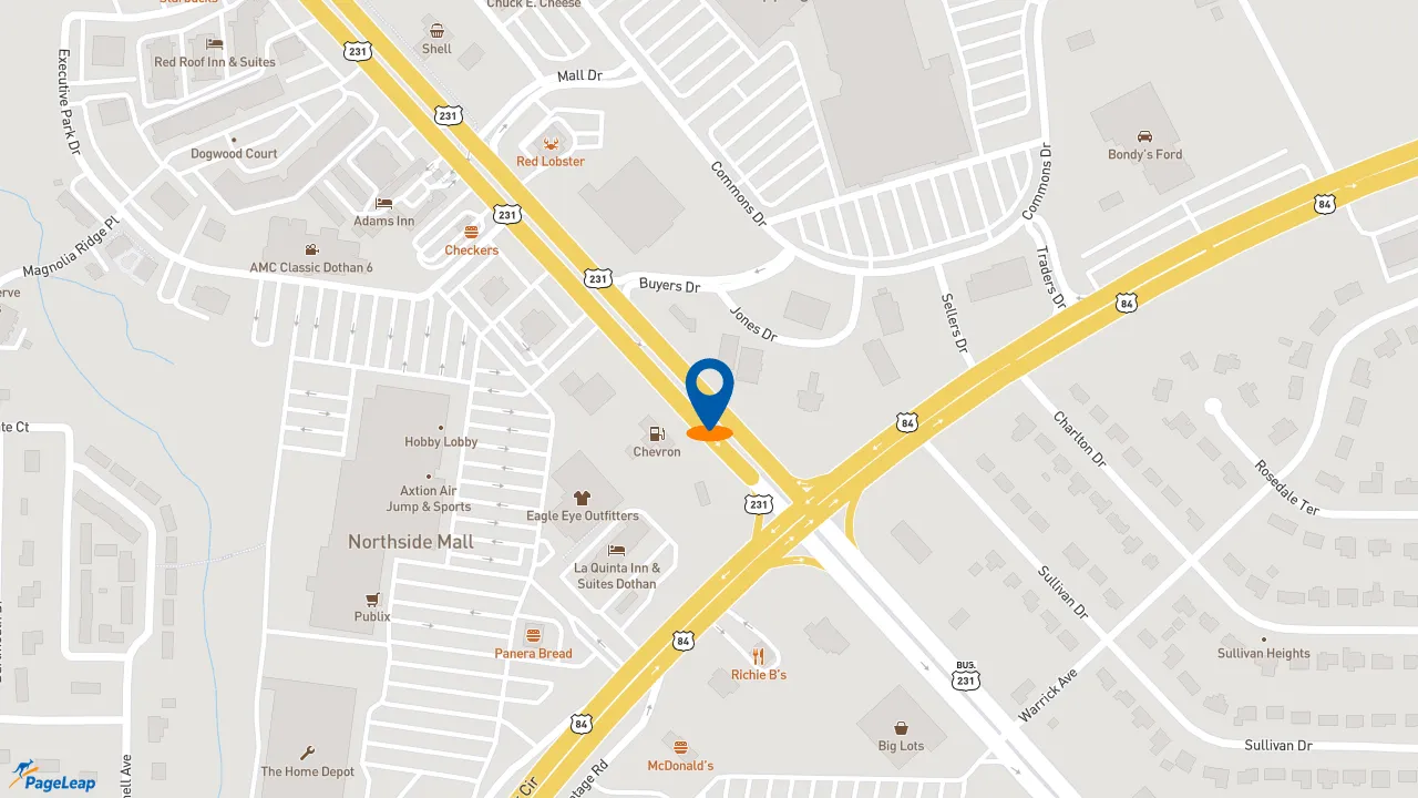 https://pageleap.com map showing location of Domino&#039;s Pizza in Dothan.