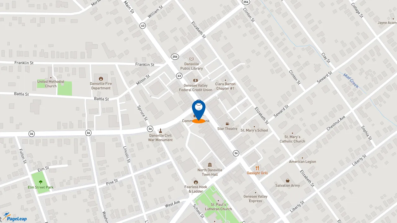 https://pageleap.com map showing location of Dunkin&#039; in Dansville.