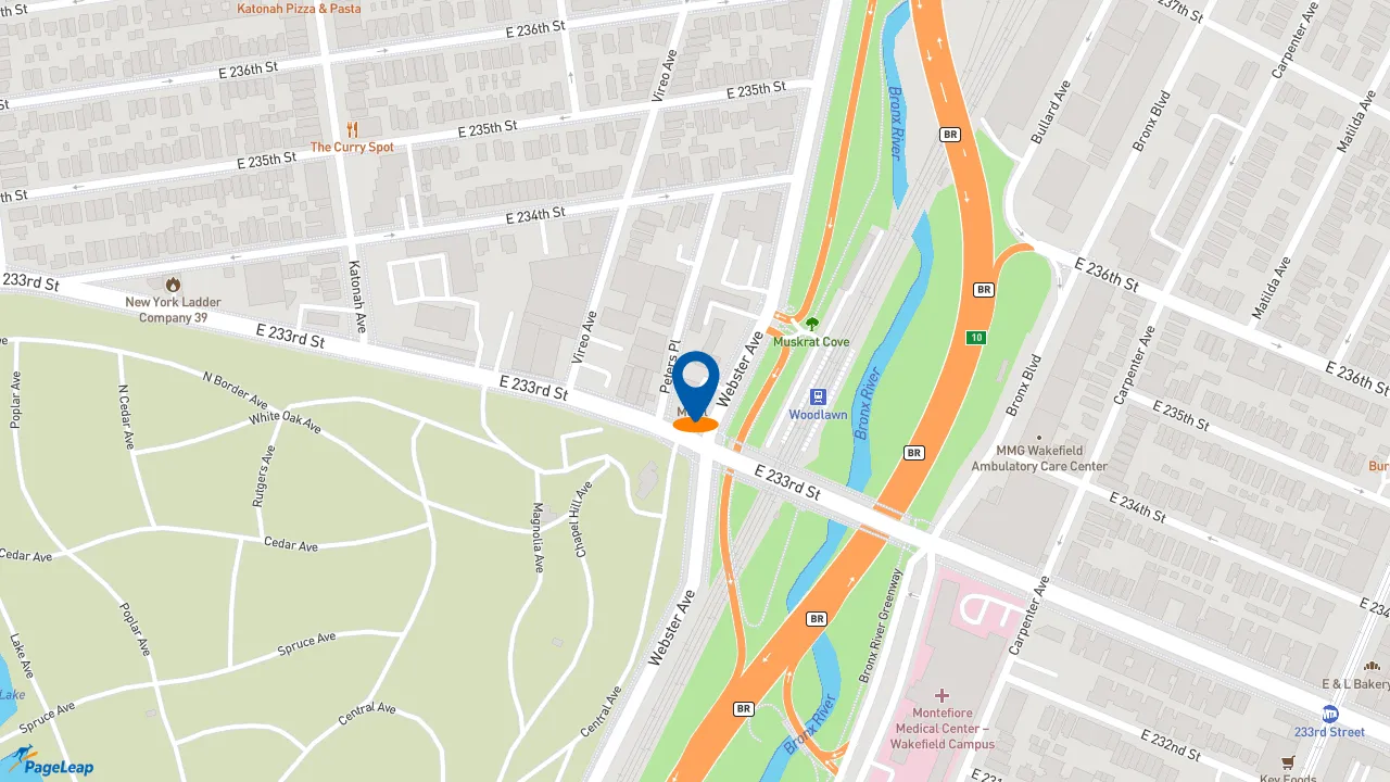 https://pageleap.com map showing location of Dunkin&#039; in Bronx.