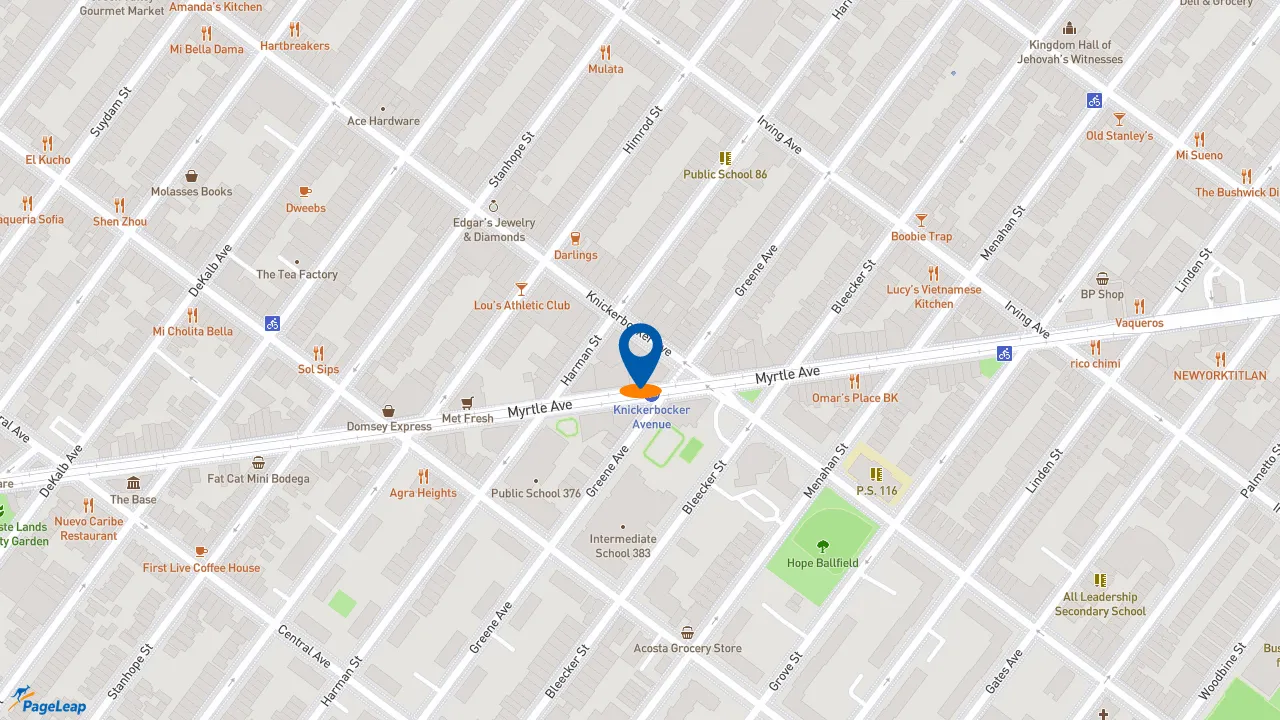 https://pageleap.com map showing location of Dunkin&#039; in City Of New York.