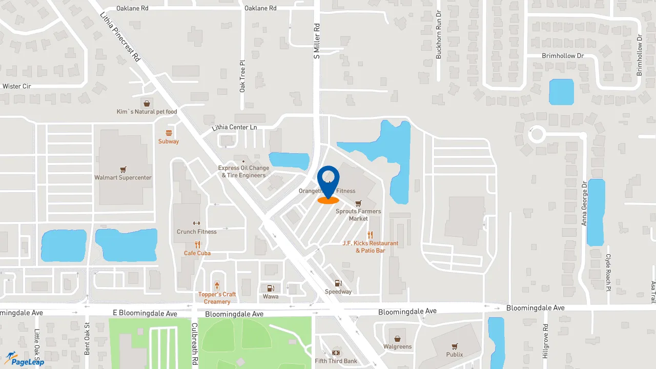 https://pageleap.com map showing location of Dunkin&#039; in Valrico.