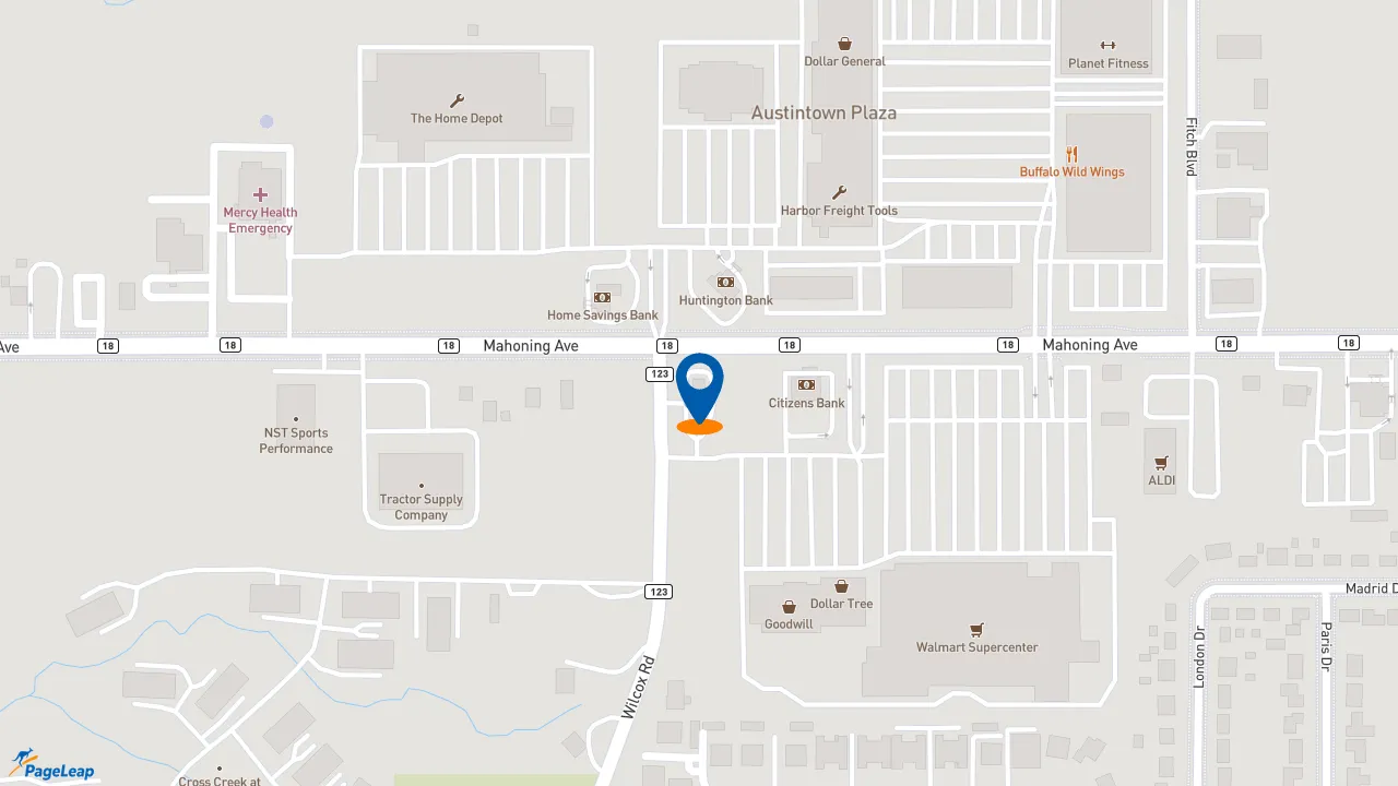 https://pageleap.com map showing location of Dunkin&#039; in Austintown.