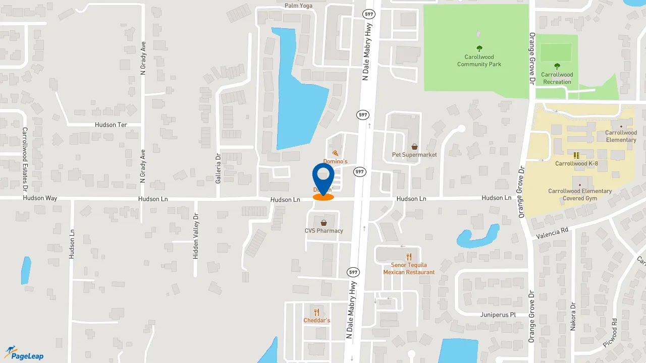 https://pageleap.com map showing location of Dunkin&#039; in Tampa.