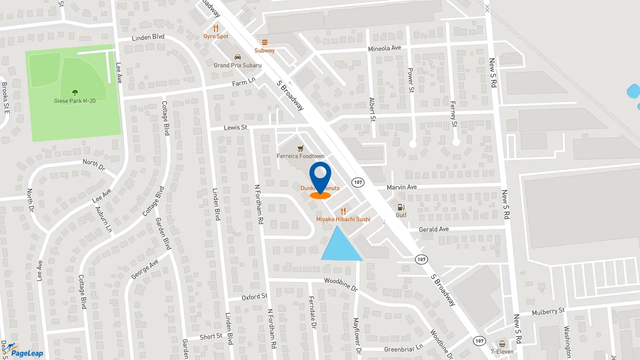 https://pageleap.com map showing location of Dunkin&#039; in Hicksville.