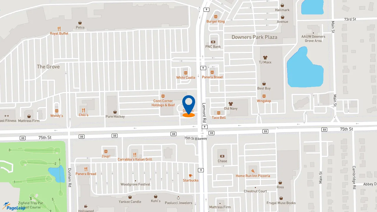 https://pageleap.com map showing location of Dunkin&#039; in Downers Grove.