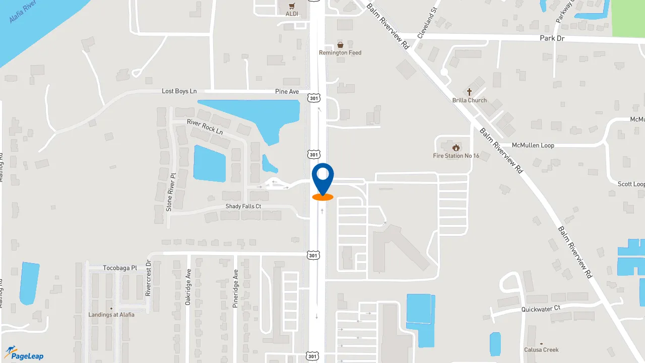 https://pageleap.com map showing location of Dunkin&#039; in Riverview.
