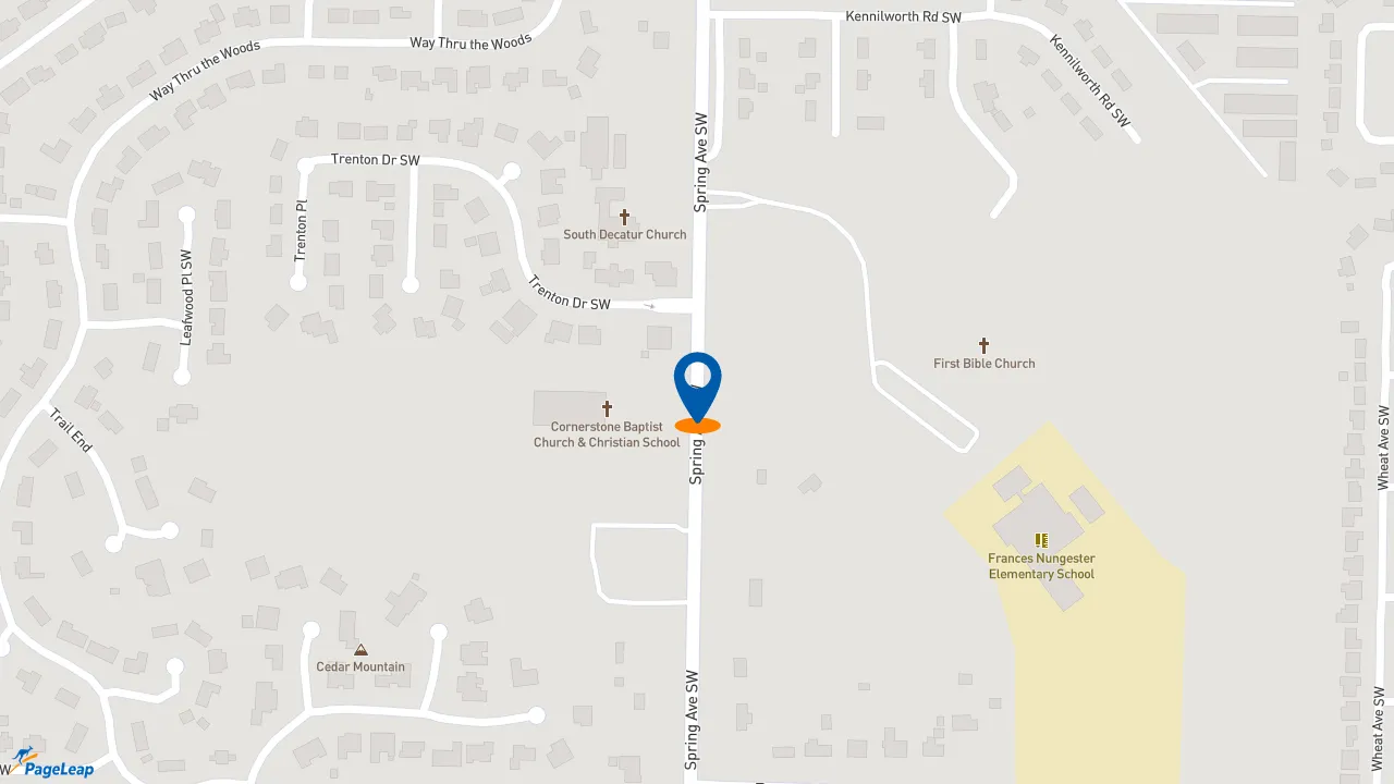 https://pageleap.com map showing location of Firehouse Subs Decatur in Decatur.