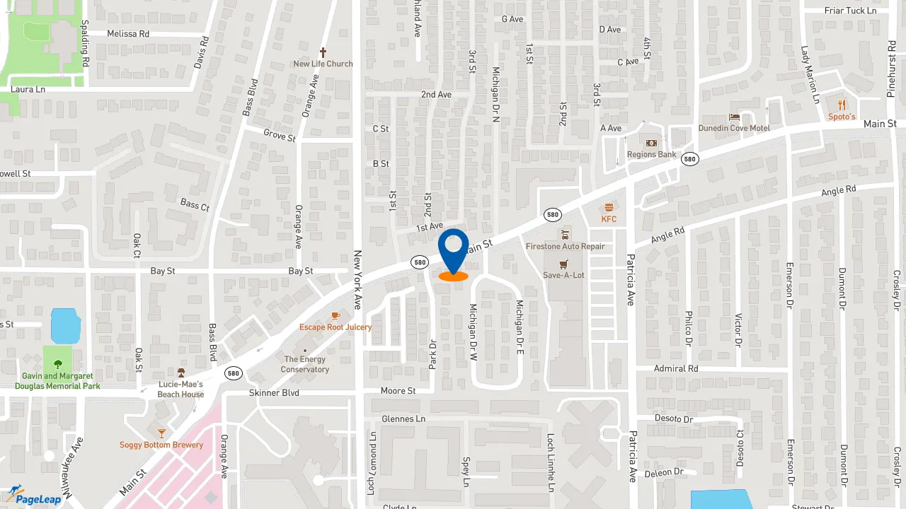https://pageleap.com map showing location of Firehouse Subs Dunedin in Dunedin.