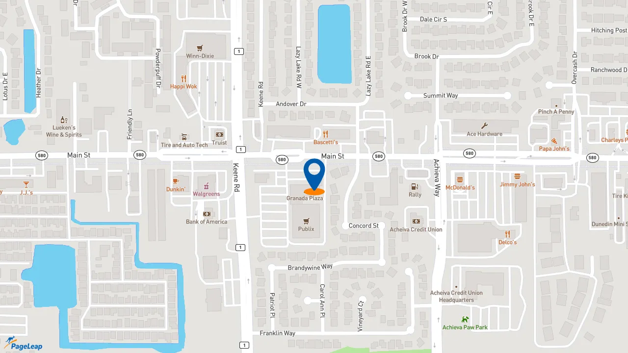 PageLeap.com map showing location of Firehouse Subs Dunedin in Dunedin.