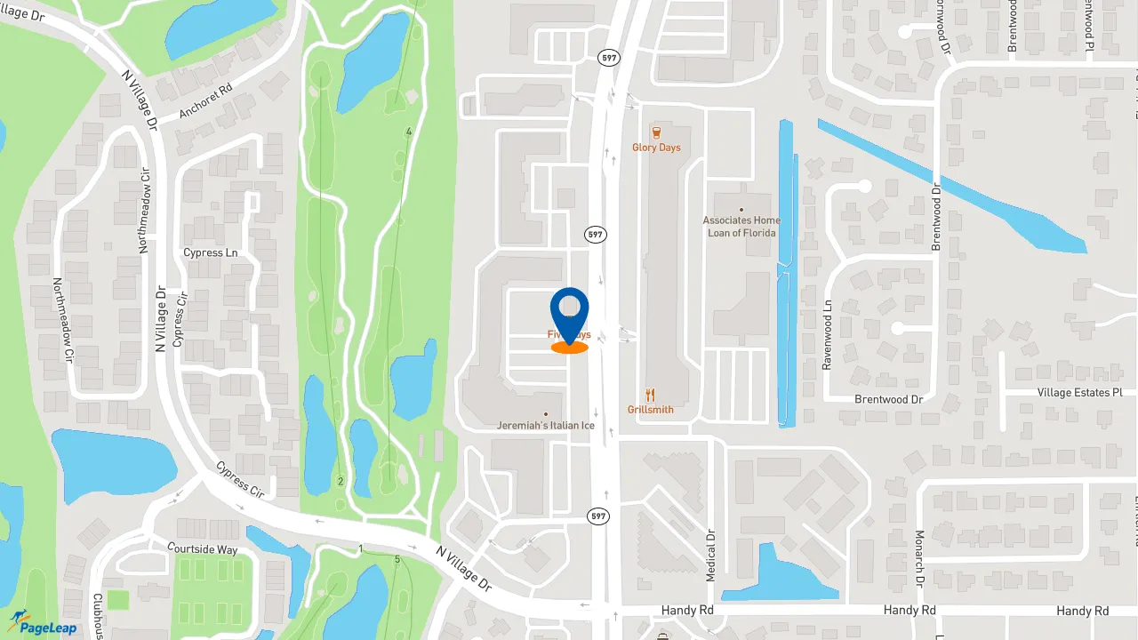 https://pageleap.com map showing location of Five Guys in Tampa.