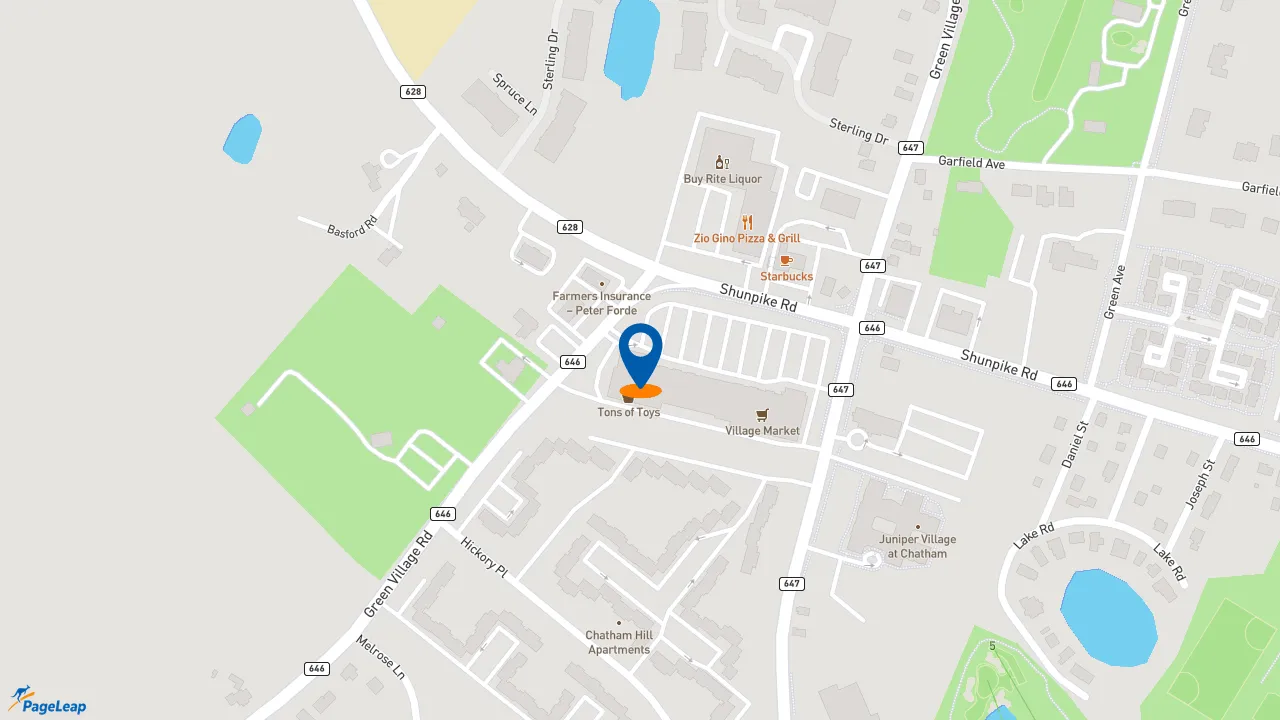 https://pageleap.com map showing location of Hickory Tree Pizza in Chatham.