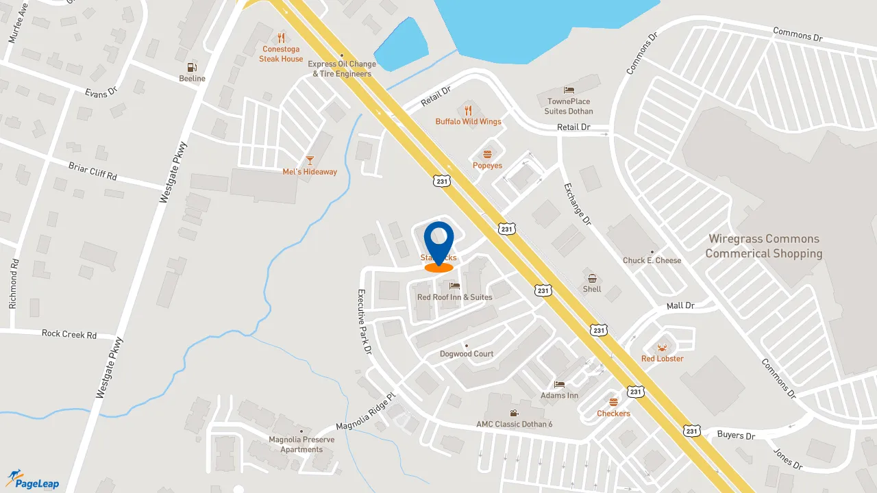 https://pageleap.com map showing location of Jersey Mike&#039;s Subs in Dothan.