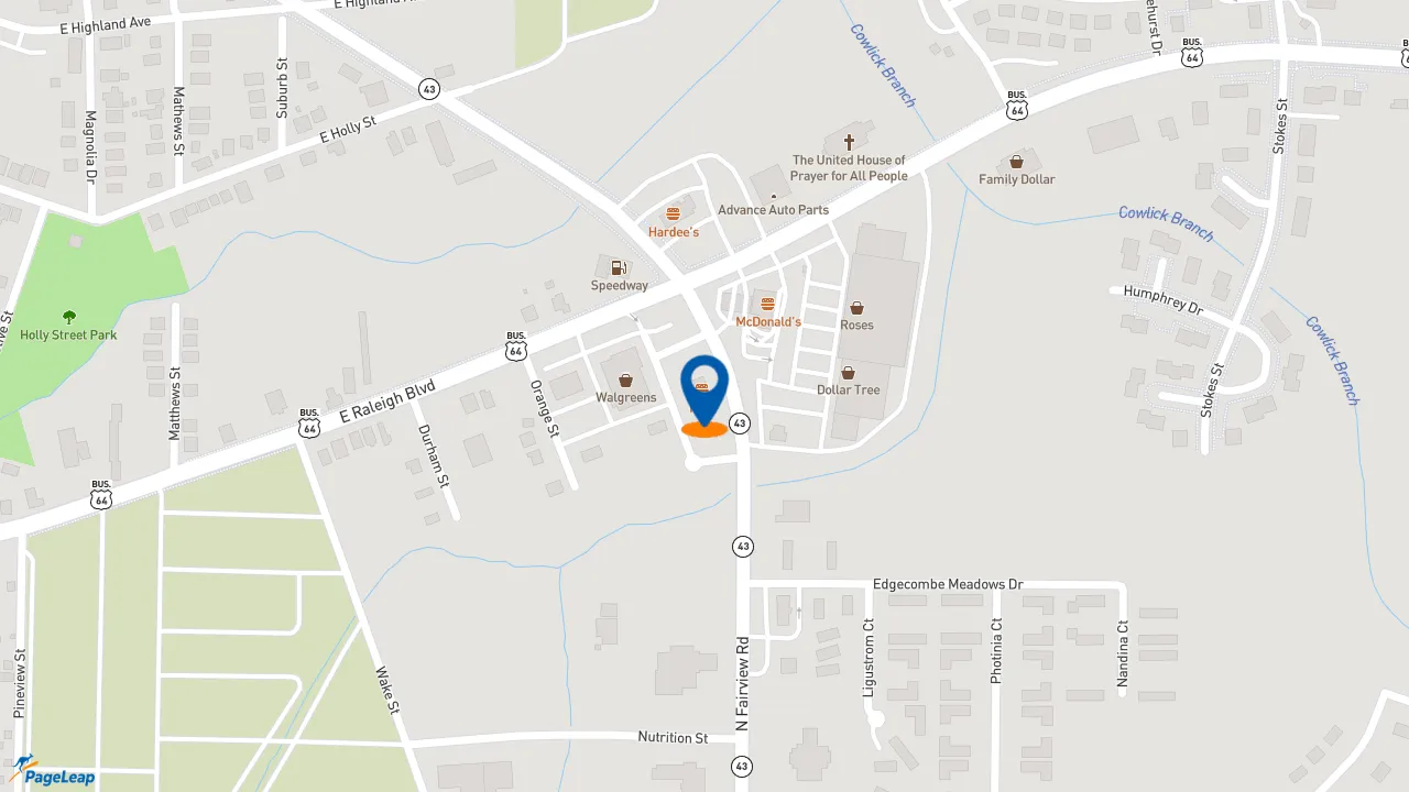 https://pageleap.com map showing location of KFC in Rocky Mount.