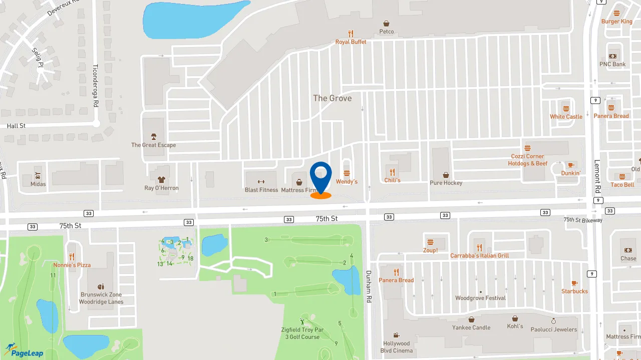 https://pageleap.com map showing location of KFC in Downers Grove.