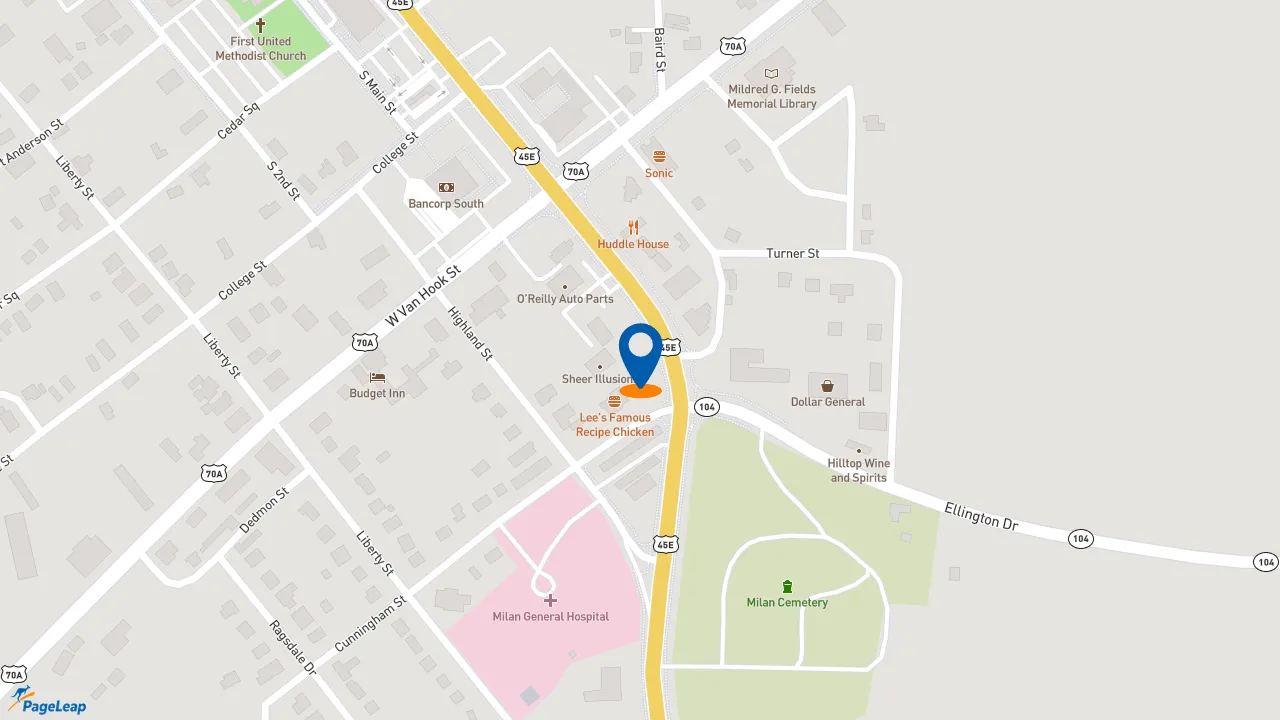 https://pageleap.com map showing location of Lee&#039;s Famous Recipe Chicken in Milan.