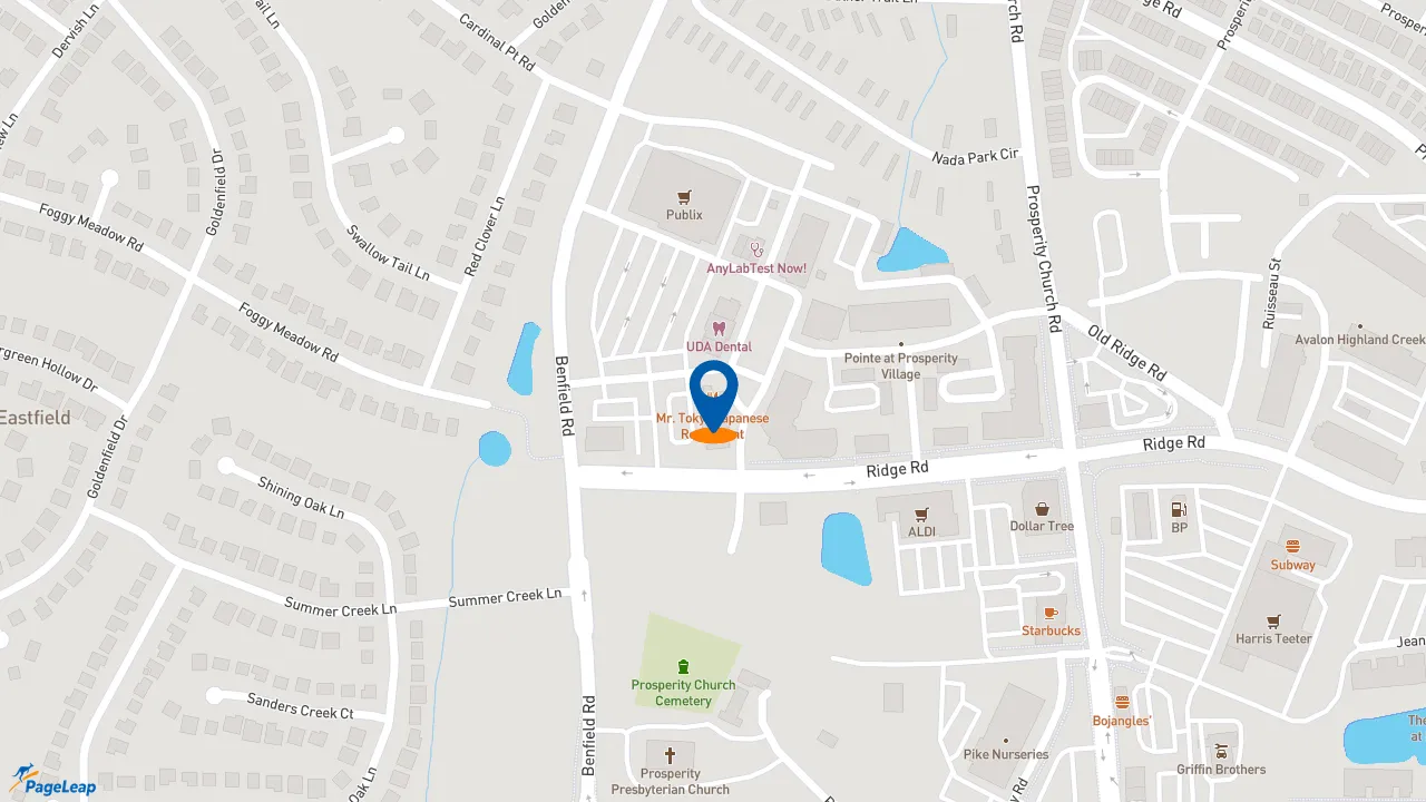 https://pageleap.com map showing location of Little Big Burger in Charlotte.