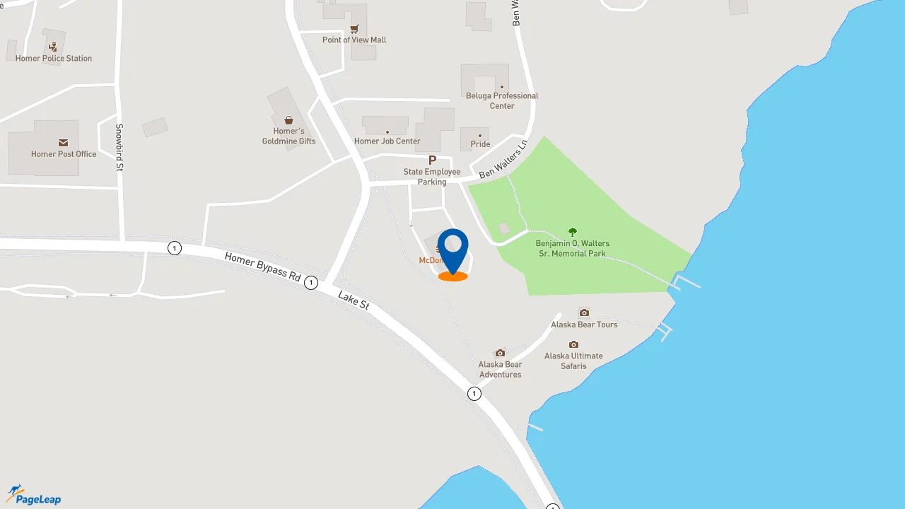https://pageleap.com map showing location of McDonald&#039;s in Homer.