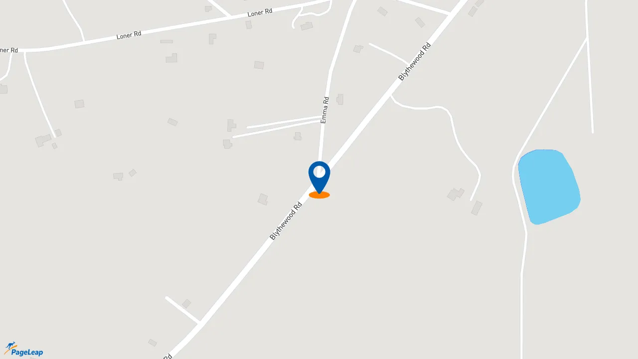 https://pageleap.com map showing location of McDonald&#039;s in Blythewood.