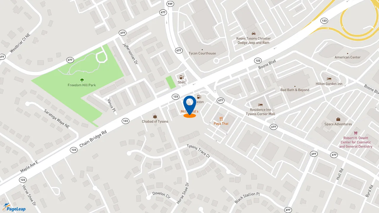 https://pageleap.com map showing location of McDonald&#039;s in Vienna.