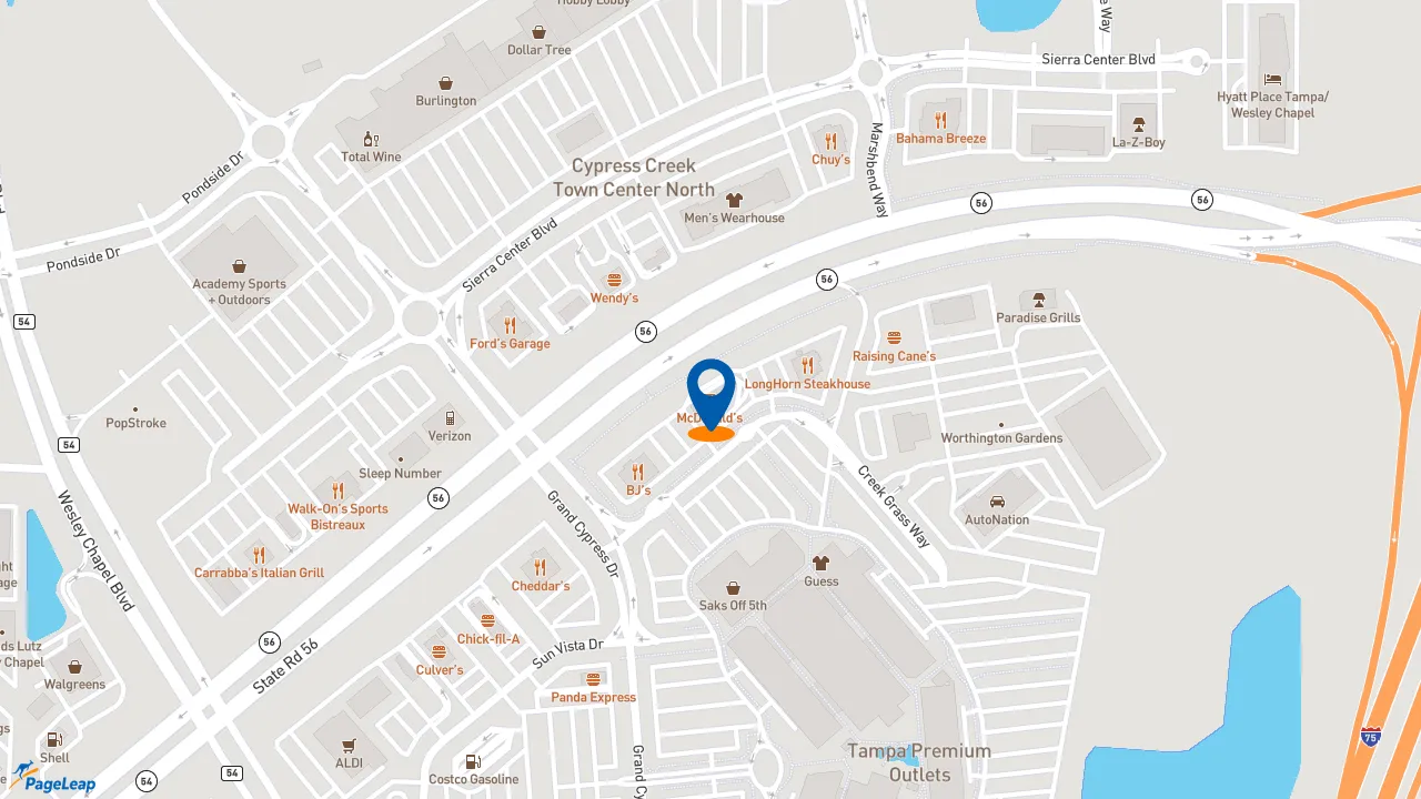 https://pageleap.com map showing location of McDonald&#039;s in Lutz.