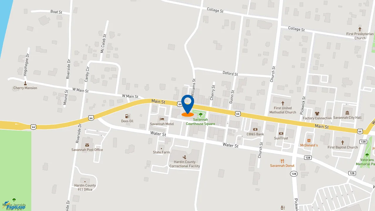 https://pageleap.com map showing location of McDonald&#039;s in Savannah.