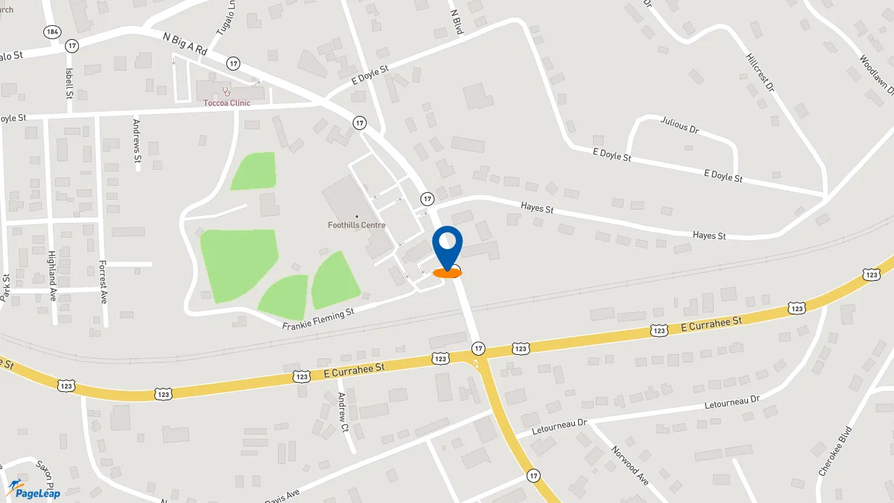 https://pageleap.com map showing location of McDonald&#039;s in Toccoa.