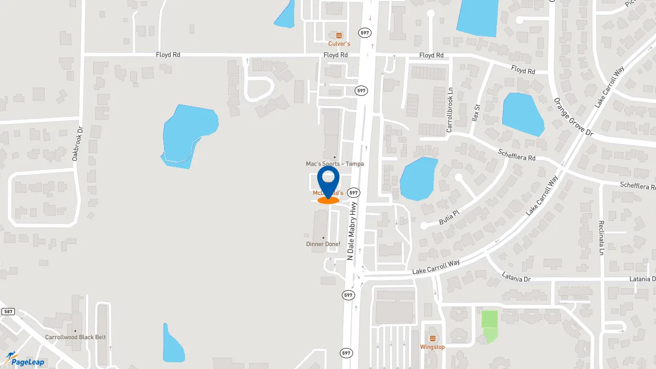 https://pageleap.com map showing location of McDonald&#039;s in Tampa.
