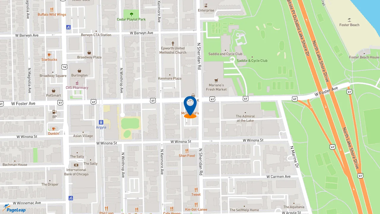 https://pageleap.com map showing location of McDonald&#039;s in Chicago.