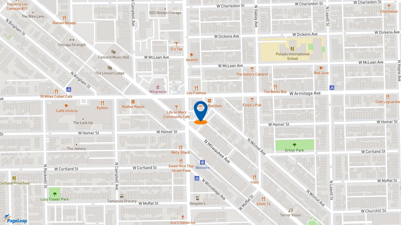 https://pageleap.com map showing location of McDonald&#039;s in Chicago.