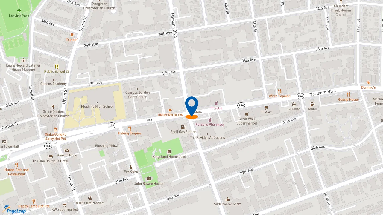 https://pageleap.com map showing location of McDonald&#039;s in City Of New York.