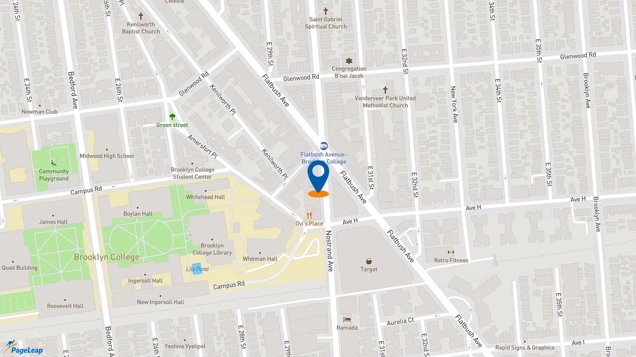 https://pageleap.com map showing location of McDonald&#039;s in City Of New York.