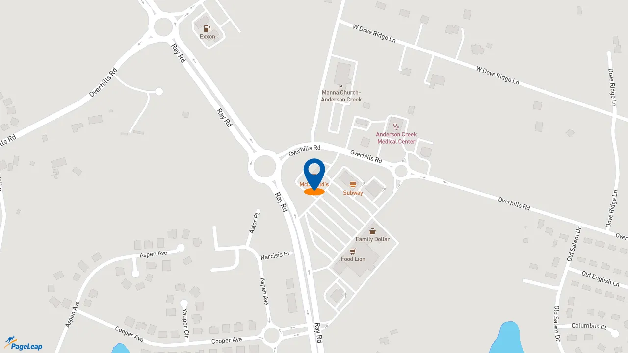 https://pageleap.com map showing location of McDonald&#039;s in Spring Lake.