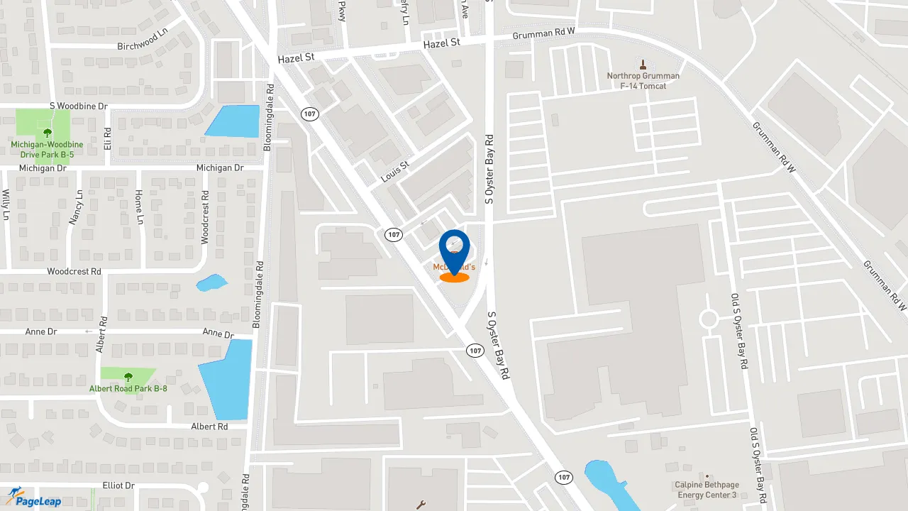 https://pageleap.com map showing location of McDonald&#039;s in Hicksville.