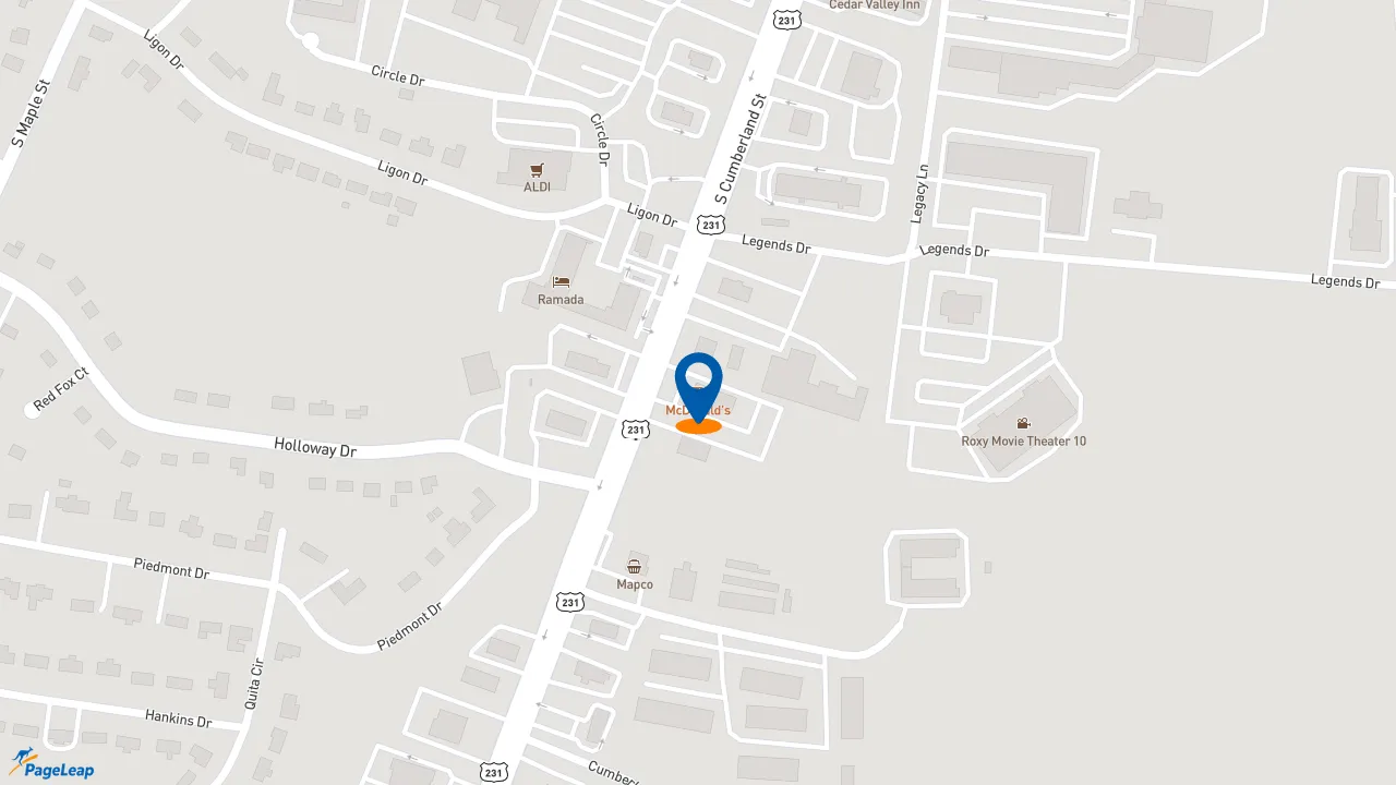 https://pageleap.com map showing location of McDonald&#039;s in Lebanon.