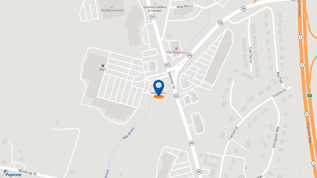 https://pageleap.com map showing location of McDonald&#039;s in Kingston.