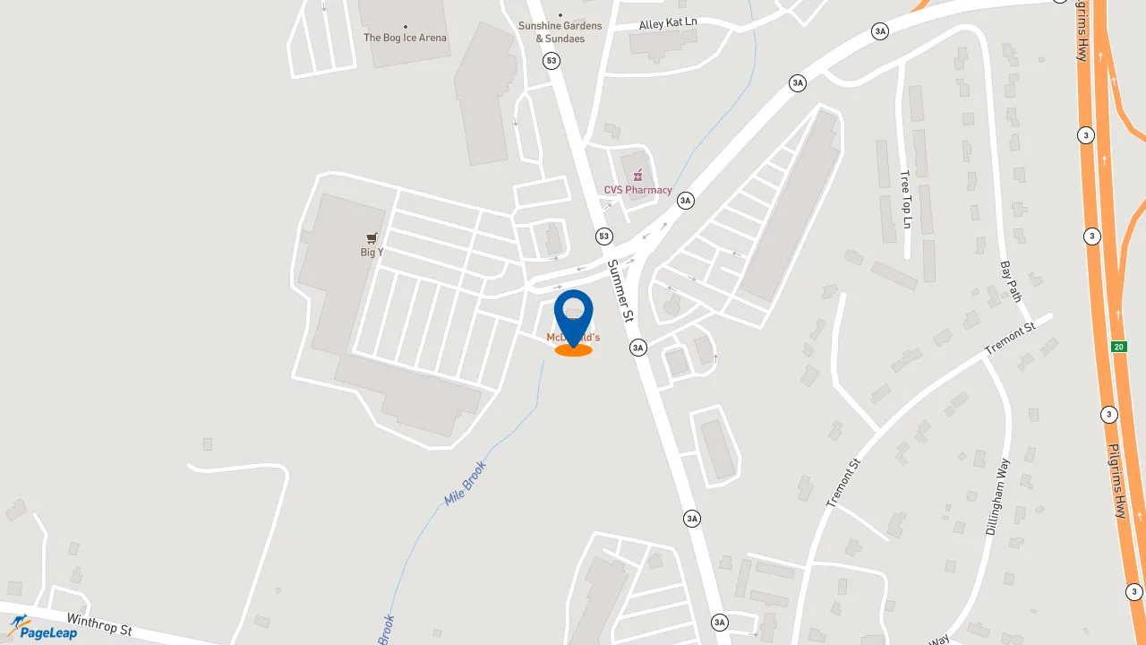 https://pageleap.com map showing location of McDonald&#039;s in Kingston.