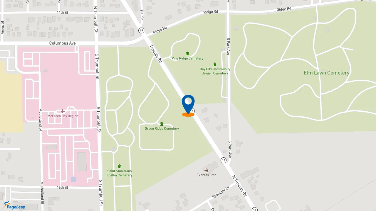 https://pageleap.com map showing location of McDonald&#039;s in Bay City.