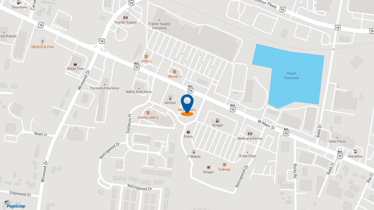 https://pageleap.com map showing location of McDonald&#039;s in Lebanon.