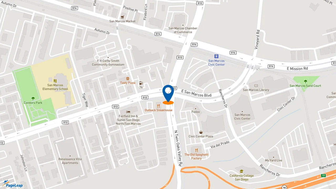 https://pageleap.com map showing location of McDonald&#039;s in San Marcos.