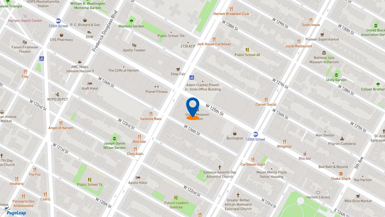 https://pageleap.com map showing location of McDonald&#039;s in City Of New York.