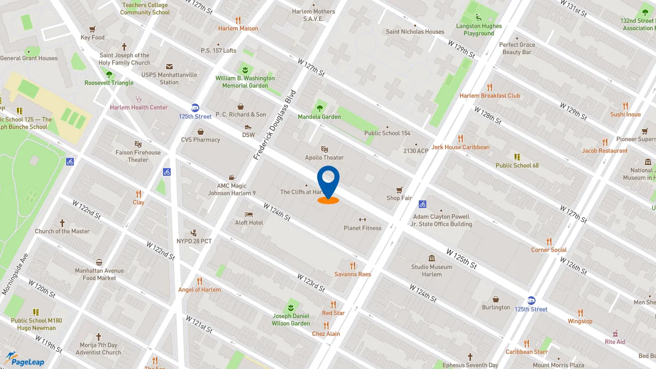 https://pageleap.com map showing location of McDonald&#039;s in New York.