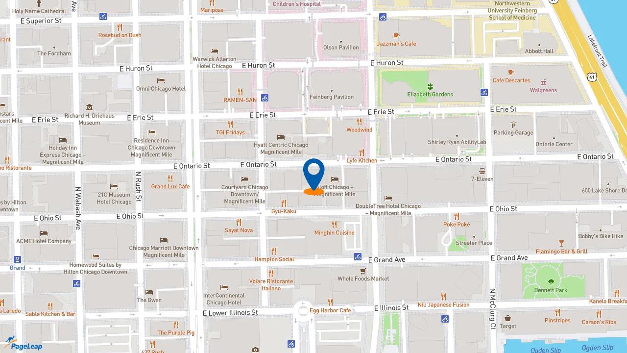 https://pageleap.com map showing location of Nando&#039;s PERi-PERi in Chicago.