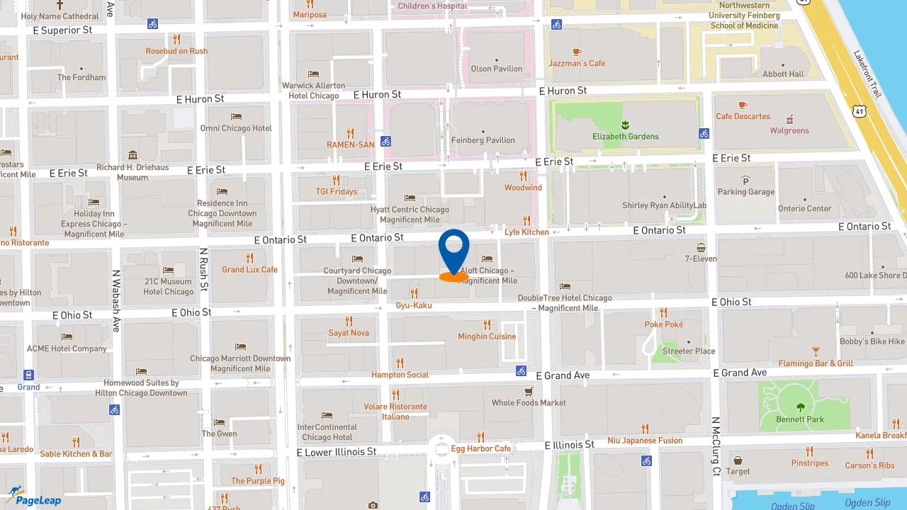 https://pageleap.com map showing location of Nando&#039;s PERi-PERi in Chicago.